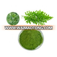 Good Price Moringa Oleifera  Leaf Extract 5:1 10:1 20:1 Powder CAS No 1617-53-4