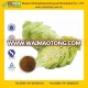 Competitive price Hops Extract Powder