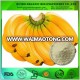 Wholesale bulk Banana powder / green banana flour